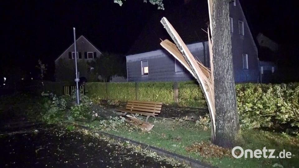 Ein Baum stürzte auf das BRK-Alten- und Pflegeheim Hammergmünd bei Grafenwöhr. Bild: jma