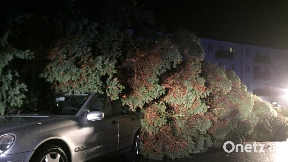 Sturmtief &quot;Fabienne&quot; hat in Weiden und dem Landkreis Neustadt massive Schäden angerichtet. Bild: mte