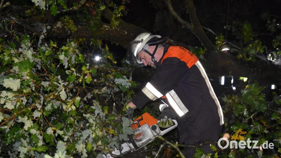 Sturmtief &quot;Fabienne&quot; hat in Weiden und dem Landkreis Neustadt massive Schäden angerichtet. Bild: mte