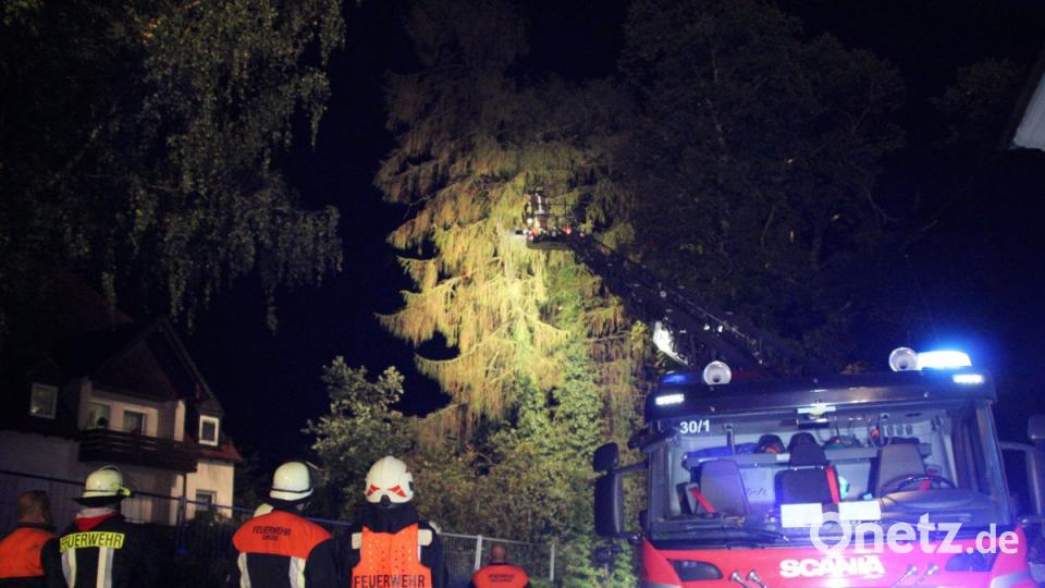 Ein Baum stürzte auf das BRK-Alten- und Pflegeheim Hammergmünd bei Grafenwöhr. Bild: jma