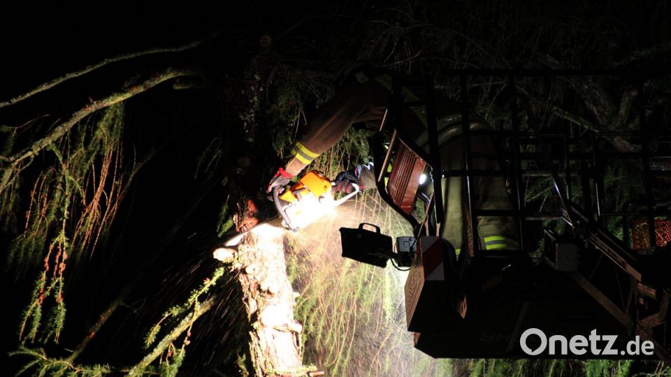 Ein Baum stürzte auf das BRK-Alten- und Pflegeheim Hammergmünd bei Grafenwöhr. Bild: jma