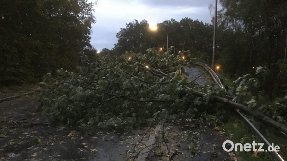 Sturmtief &quot;Fabienne&quot; hat in der Oberpfalz massive Schäden angerichtet. Bild: Beer