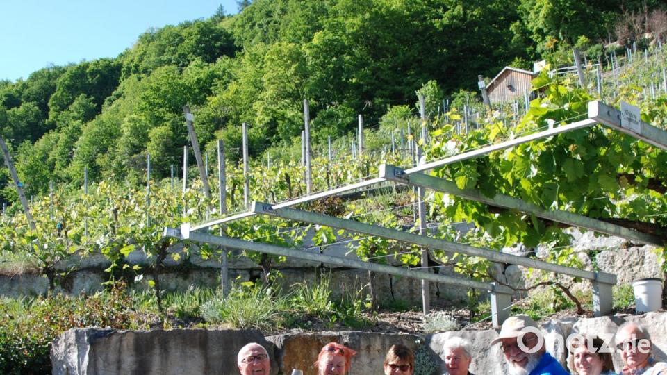 Gemütliche Weinprobe in der Laube unterm Weinberg. Bild: Portner