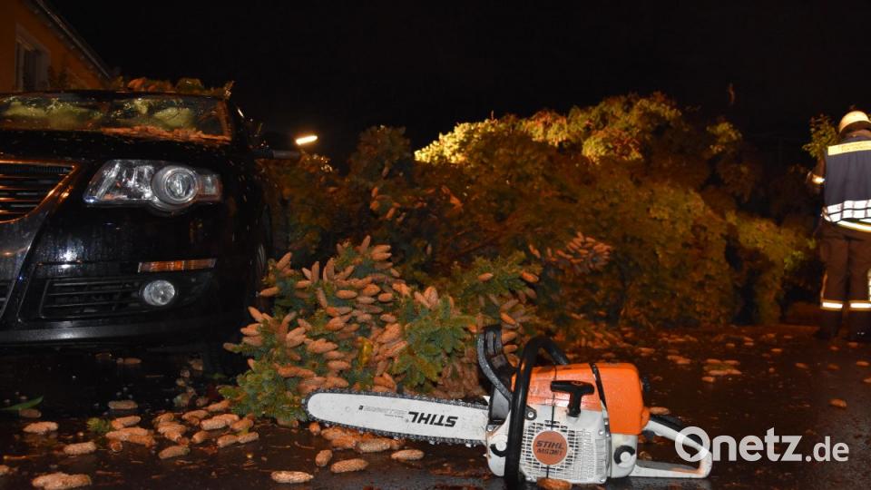 Sturmtief &quot;Fabienne&quot; hat in Weiden und dem Landkreis Neustadt massive Schäden angerichtet. Bild: mte