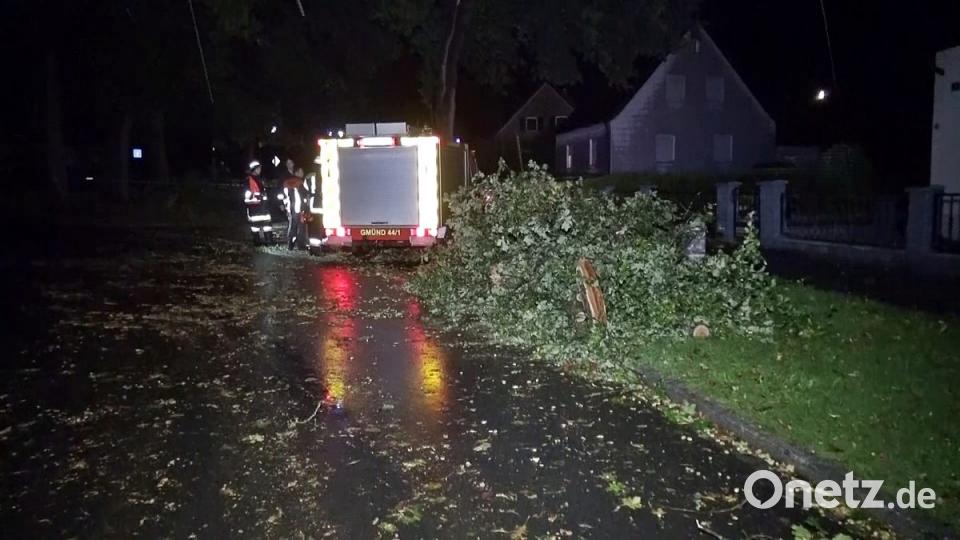 Ein Baum stürzte auf das BRK-Alten- und Pflegeheim Hammergmünd bei Grafenwöhr. Bild: jma