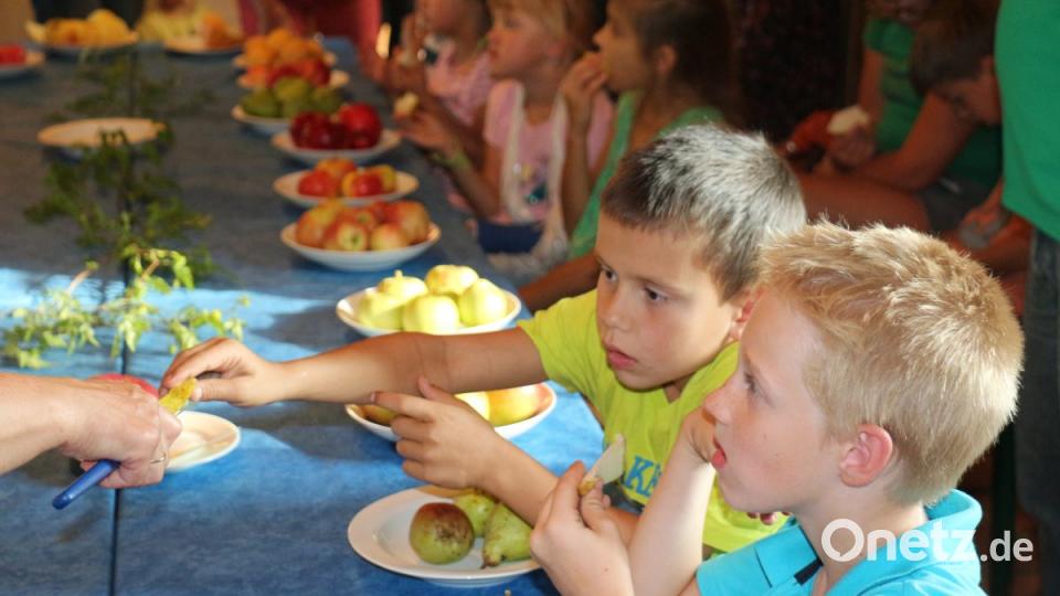 Die KInder probieren die verschiedenen Apfel- und Birnensorten aus der Ausstellung und lernen dabei die Unterschiede im Geschmack und Konsistenz kennen. Bild: rpp