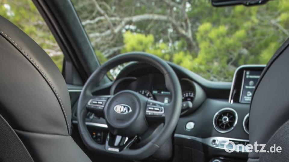 Kia Stinger Werksfoto Bild: Kia Motors