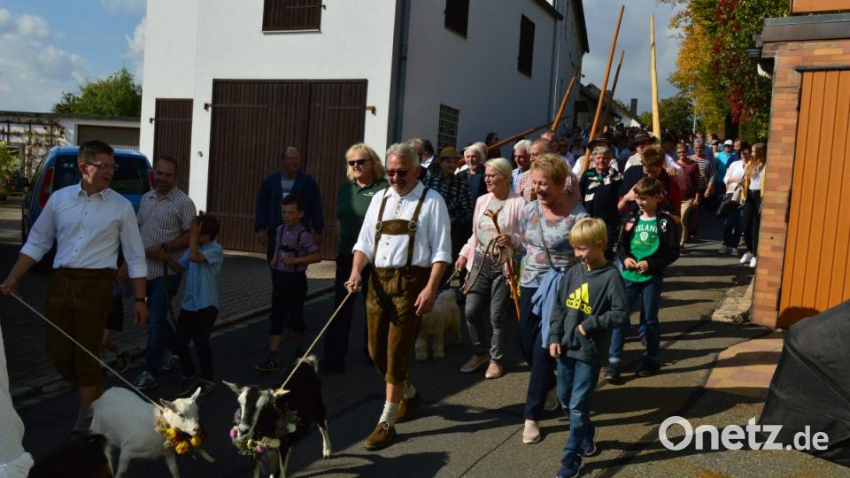 Bilder vom Almabtrieb 2018 in Neustadt am Kulm. Bild: ww