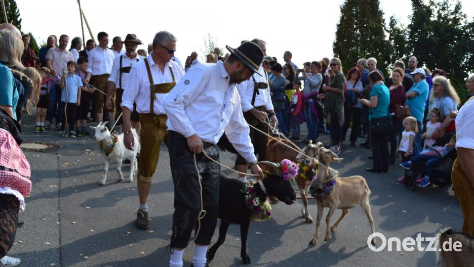 Bürgermeister Wolfgang Haberberger (vorne) führt den 8. Almabtrieb in Neustadt am Kulm an. Bild: ww