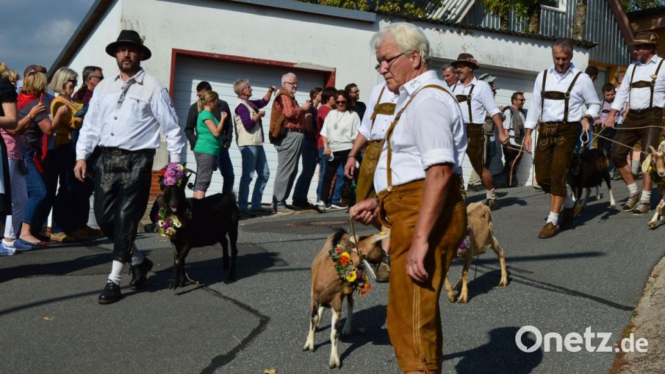 Bilder vom Almabtrieb 2018 in Neustadt am Kulm. Bild: ww