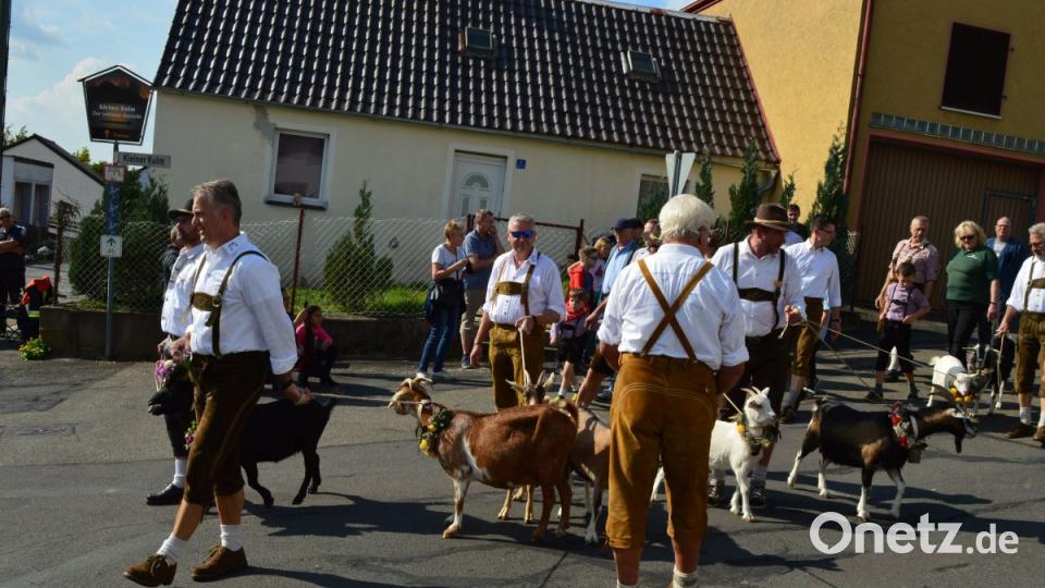 Bilder vom Almabtrieb 2018 in Neustadt am Kulm. Bild: ww