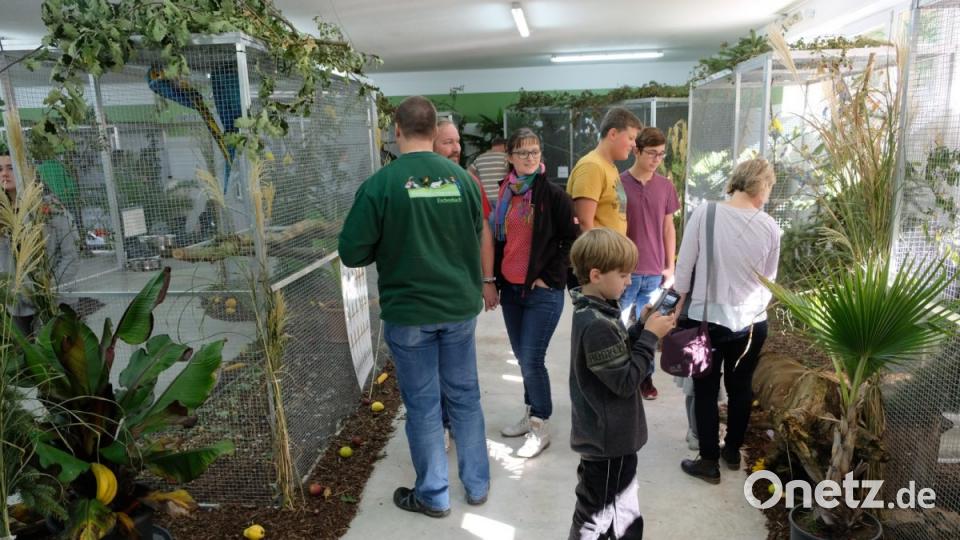 Vogelschau des Kleintierzuchtvereins Eschenbach. Bild: do