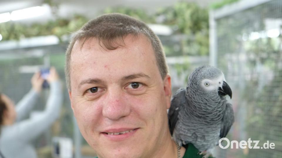 Vogelschau des Kleintierzuchtvereins Eschenbach. Bild: do