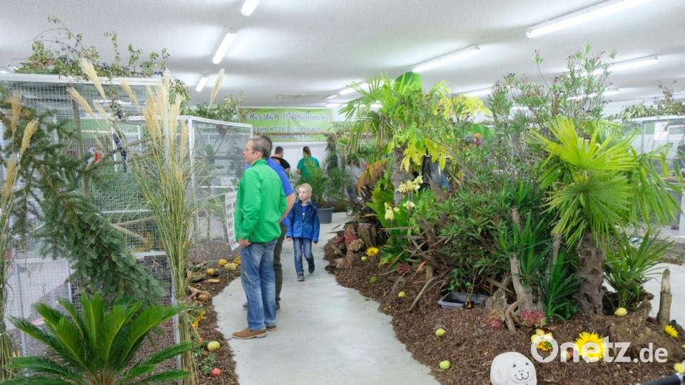 Vogelschau des Kleintierzuchtvereins Eschenbach. Bild: do