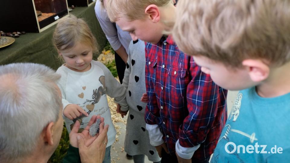 Vom kleinen Wellensittich-Küken bis zum 85 Zentimeter großen Gelbbrustara: Papageien, Sittiche und Kanarien aus aller Welt in seltener Schönheit – bestaunt von Klein und Groß – präsentierten die Kleintierzüchter bei ihrer traditionellen Vogelschau. Bild: do