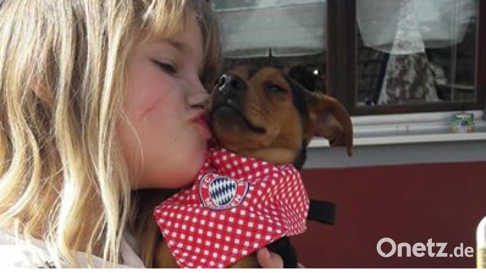 Am 10. Oktober war Welthundetag. Das sind eure Lieblinge. Bild: Ramona Zelt