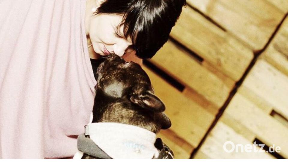 Am 10. Oktober war Welthundetag. Das sind eure Lieblinge. Bild: Sabrina TB