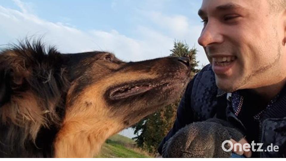 Am 10. Oktober war Welthundetag. Das sind eure Lieblinge. Bild: Dominik Binner