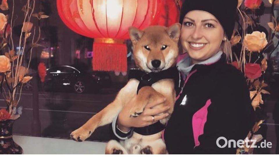 Am 10. Oktober war Welthundetag. Das sind eure Lieblinge. Bild: Kristina Neuendank