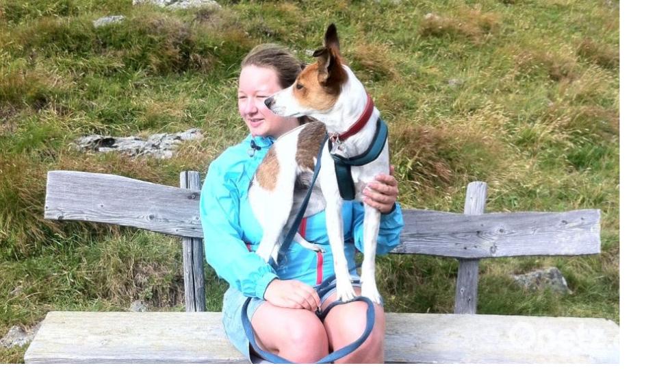 Am 10. Oktober war Welthundetag. Das sind eure Lieblinge. Bild: Kathrin Ehmsberger