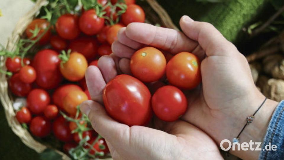 Erntedank im Landkreis Amberg-Sulzbach: Ursulapoppenricht. Bild: Nicole Koller