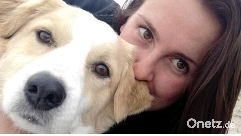 Am 10. Oktober war Welthundetag. Das sind eure Lieblinge. Bild: Caro Lin