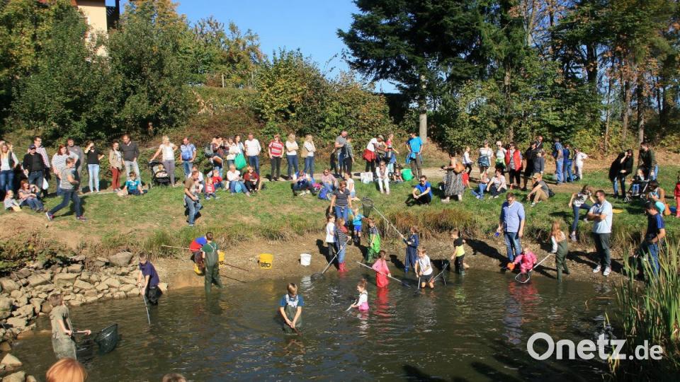Mit Eimern und Keschern ausgerüstet versuchten die Kleinsten unter den Kirchweihbesuchern am Sonntag ihr Fischerglück. Bild: wro