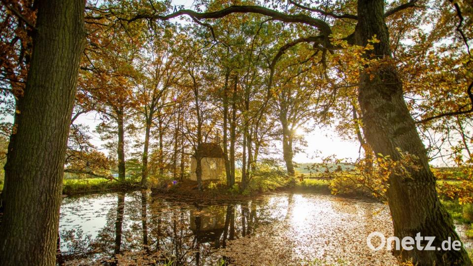 Die vielen kleinen Weiher in der Region laden zum Entspannen ein. Bild: hwk