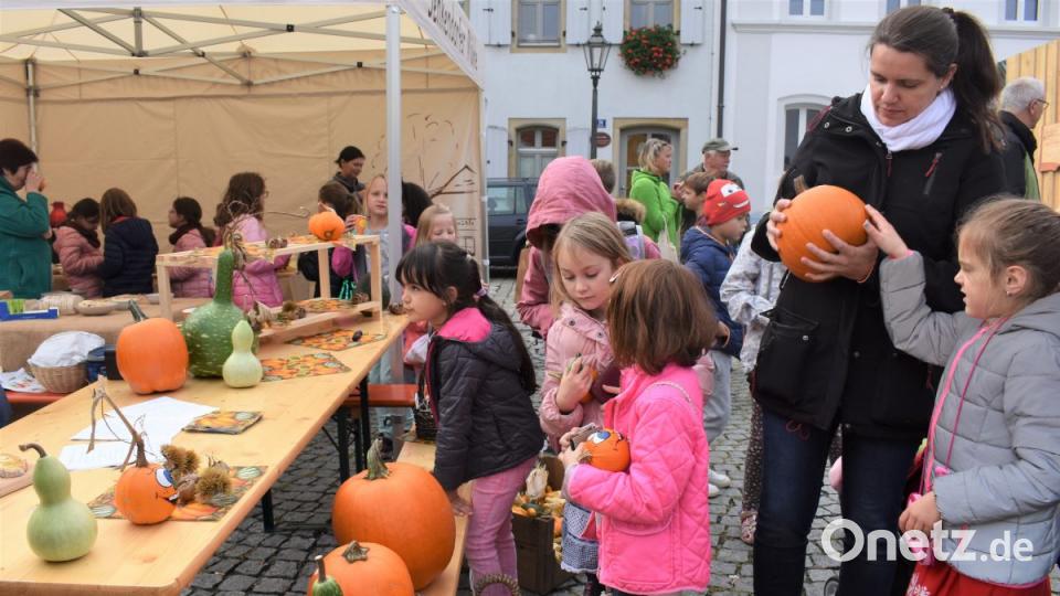 Kürbisse gibt es in verschiedenen Größen und mit oder ohne Gesicht. Das macht die Auswahl nicht unbedingt leichter. Bild: rgr
