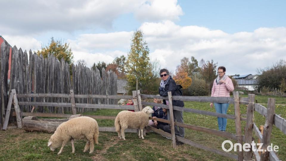 Das Herbstfest im Geschichtspark Bärnau-Tachov ist ein gelungener Saisonabschluss. Bild: dtr