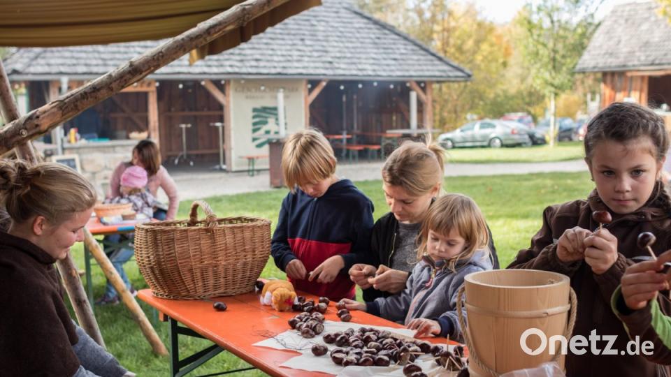 Das Herbstfest im Geschichtspark Bärnau-Tachov ist ein gelungener Saisonabschluss. Bild: dtr