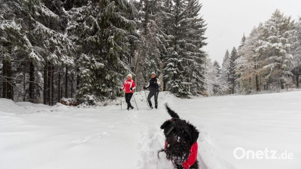 Erster Schnee auf der Silberhütte. Bild: dtr