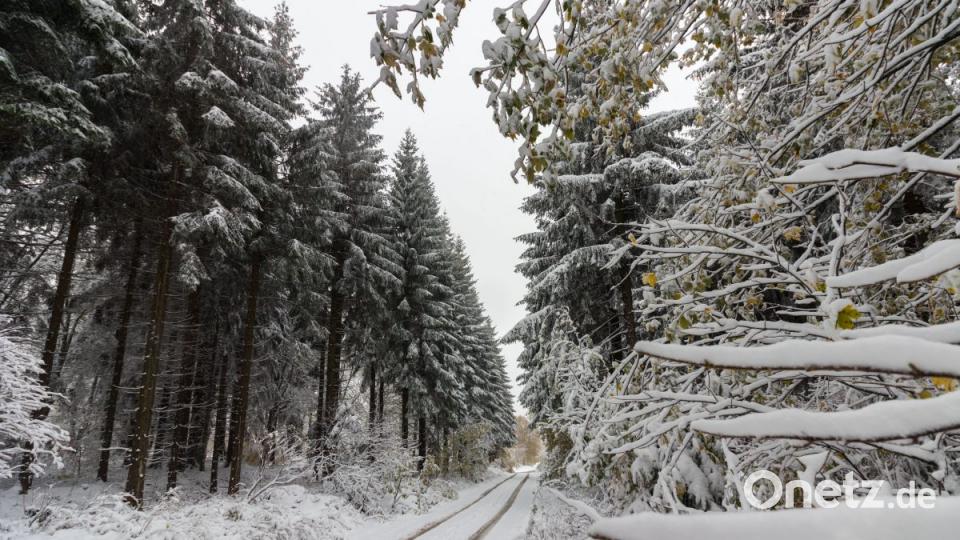 Erster Schnee auf der Silberhütte. Bild: dtr