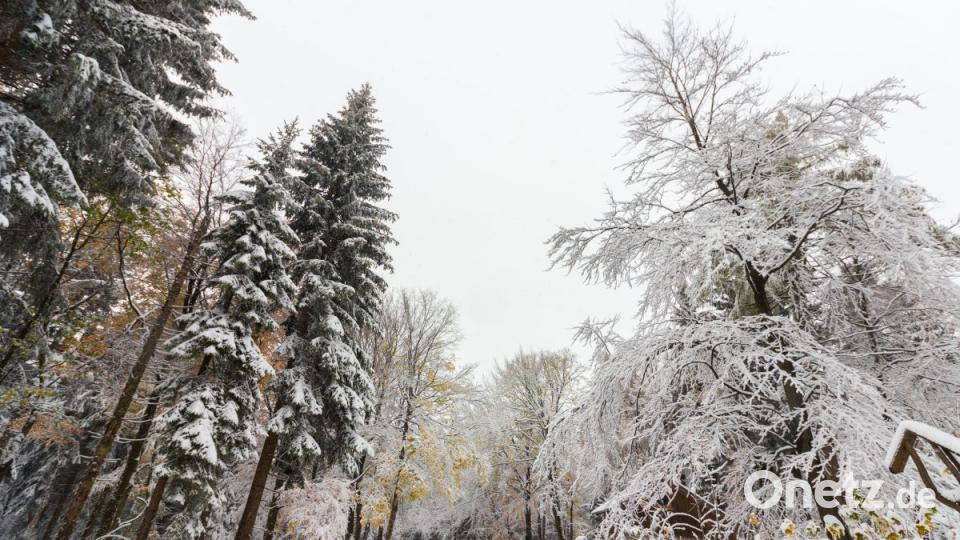 Erster Schnee auf der Silberhütte. Bild: dtr