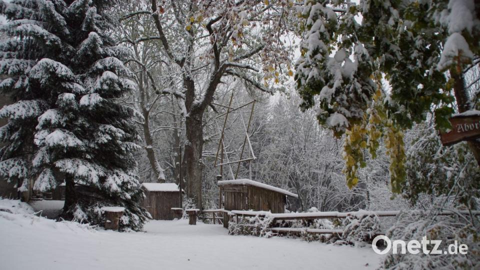Der erste Schnee in Friedrichshäng. Bild: mmj