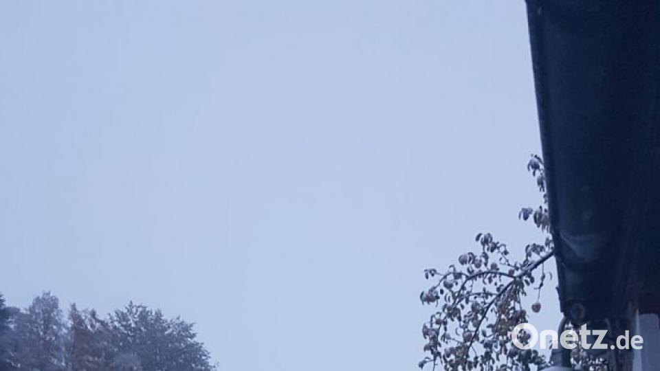 Der erste Schnee bei Waldershof /Helmbrechts. Bild: Dieter Müller
