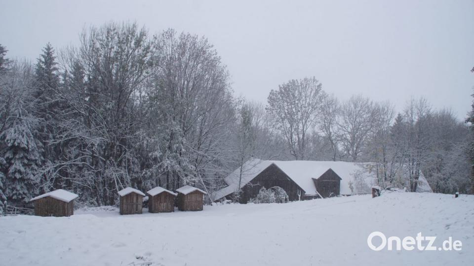 Es sind noch sechs Wochen bis “Advent im Wald” am Eulenberg/Friedrichshäng. Schnee ist schon da. Bild: mmj