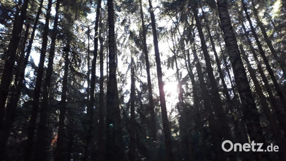 Herbst in der Oberpfalz. Bild: Sandra Lepke