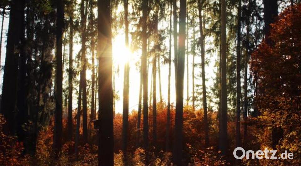 Herbst in der Oberpfalz. Bild: Michelle Wallner