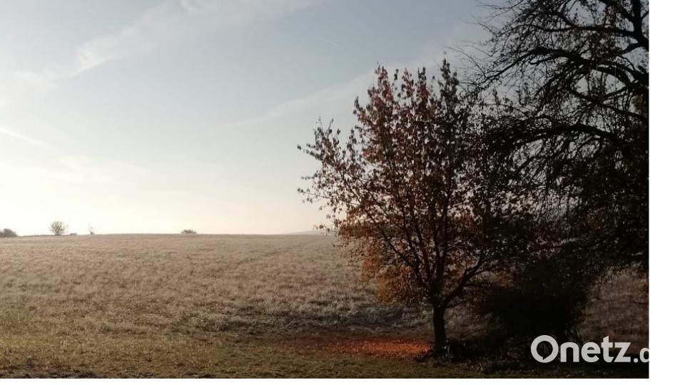 Herbst in der Oberpfalz. Bild: Daniela Moser.