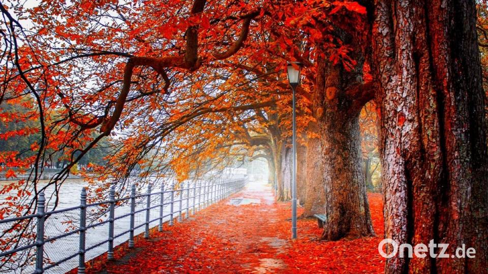 Herbst in der Oberpfalz. Bild: Qendrim Noizy Murseli