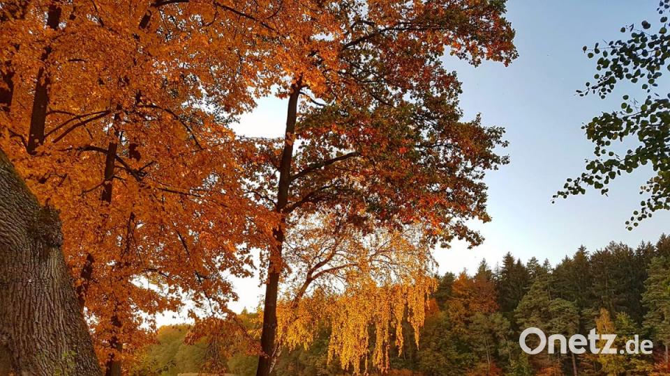 Herbst in der Oberpfalz. Bild: Susanne Sochor