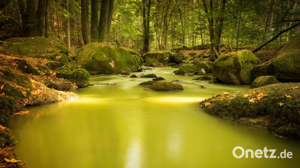 Herbst in der Oberpfalz. Bild: Melanie Martinus