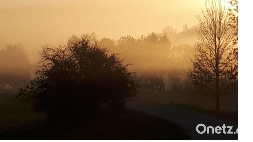 Herbst in der Oberpfalz. Bild: Gisela Janker