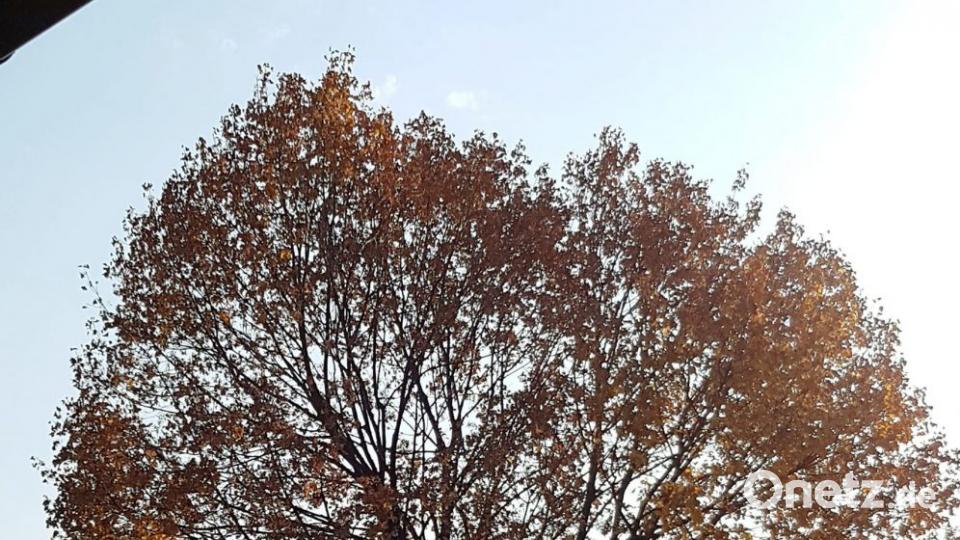 Herbst in der Oberpfalz. Bild: BeTina Leier