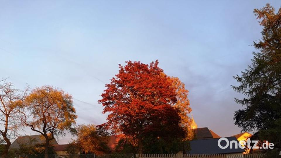 Herbst in der Oberpfalz. Bild: Melissa Lepke