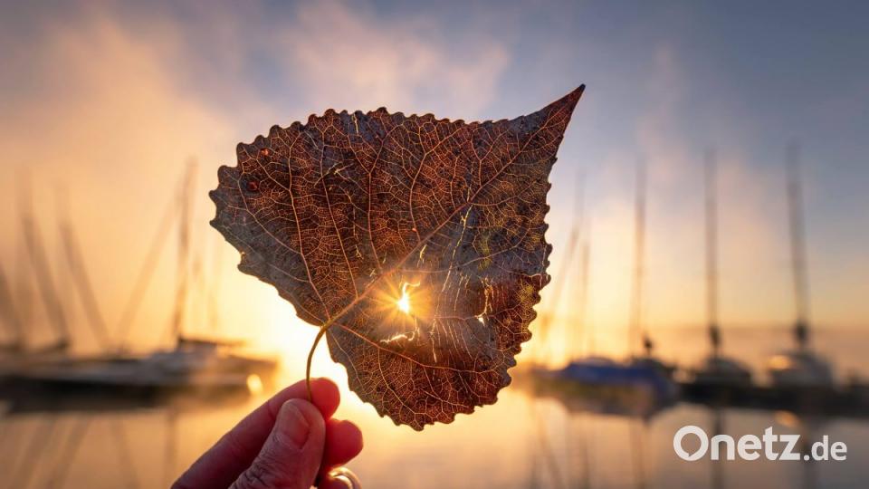 Herbst in der Oberpfalz. Bild: Melanie Martinus