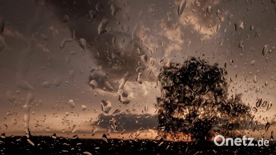 Herbst in der Oberpfalz. Bild: Danny Degelmann