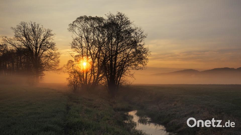 Herbst in der Oberpfalz. Bild: Lena Held