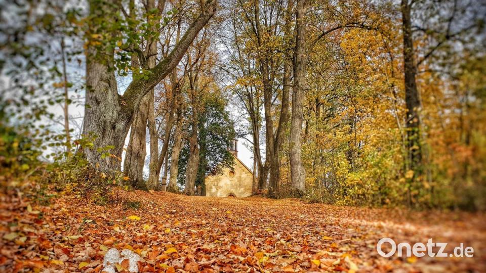 Herbst in der Oberpfalz. Bild: Kilian Thiem